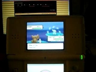 Capture Phanpy shiney
