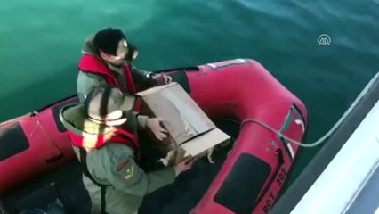 Gagasına olta iğnesi saplanan martıyı askerler kurtardı - MUĞLA