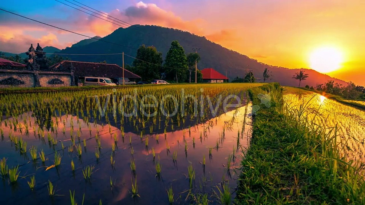 Sunset Over The Rice Field is Reflected In The Water in Bali by Timelapse4K