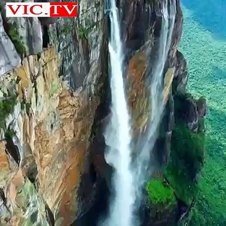 the beauty of nature