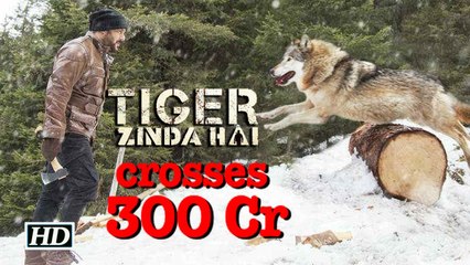 Tiger Zinda Hai in 300 Crore club | Becomes Highest Grosser