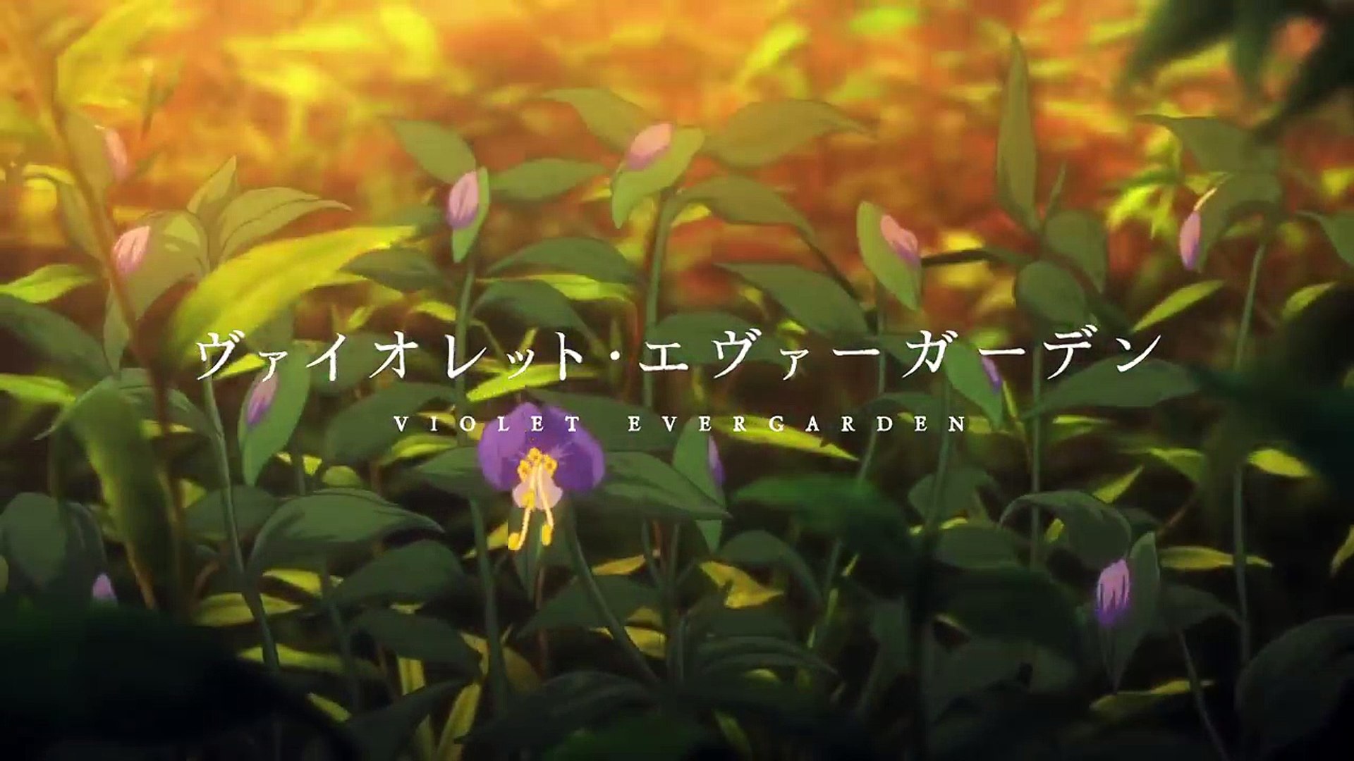 アニメ ヴァイオレット エヴァーガーデン Pv第4弾 Video Dailymotion