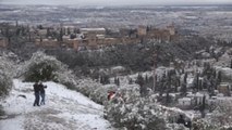 La nieve cubre la Alhambra de Granada