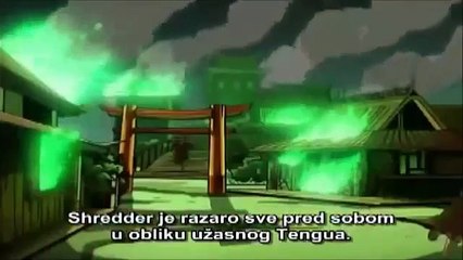 Nindza Kornjace (2003-2009) Sezona 5 Epizoda 3 TITLOVANO