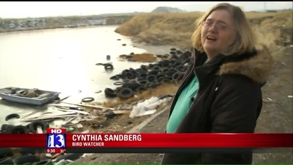 Hundreds of Trashed Tires Illegally Dumped Near Pond Create Eyesore in Salt Lake City
