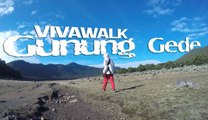 Perjalanan Tim VIVAwalk ke Gunung Gede (Part 4)