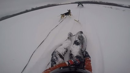 Early Snow Sledding With the Snowmobile + DOG Surprise at the END! (GoPro Action)