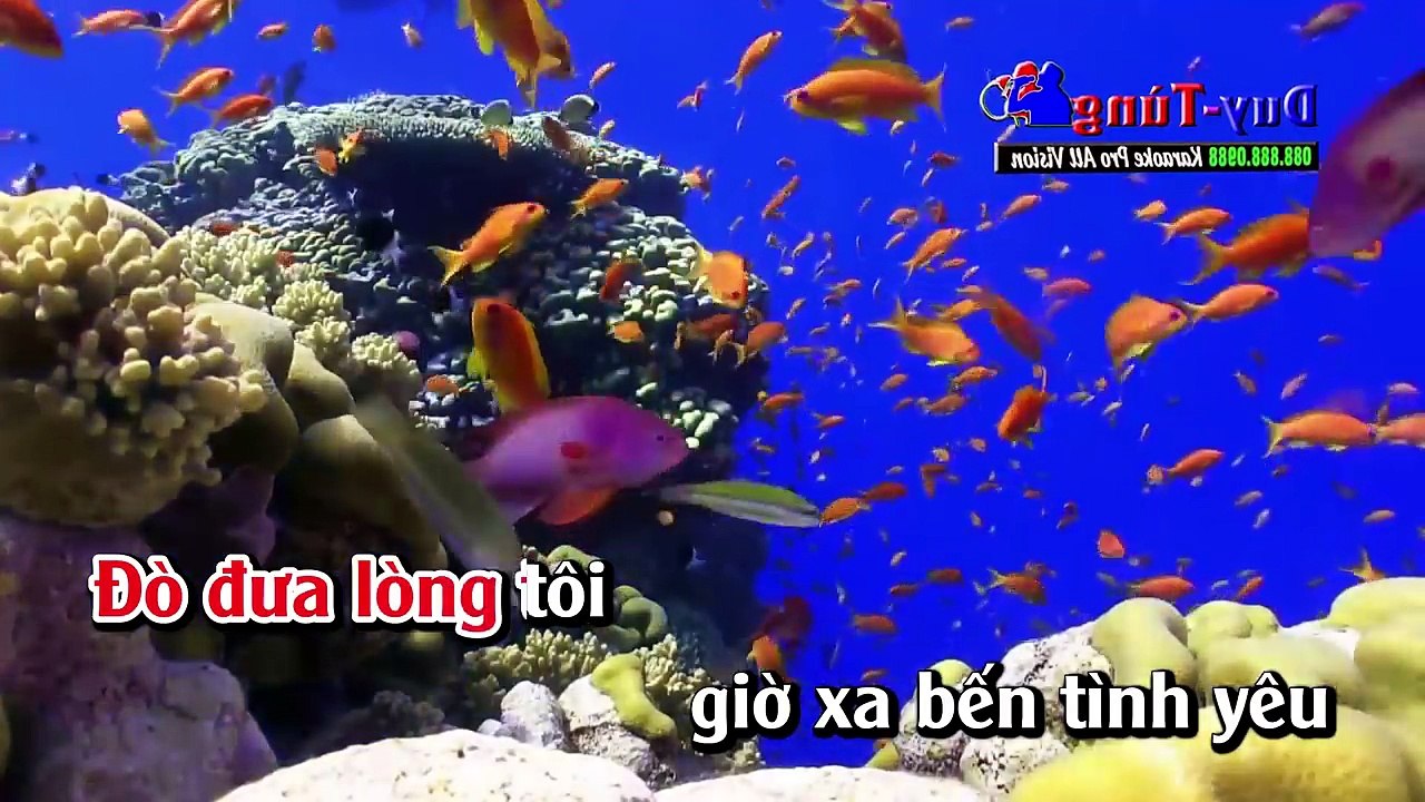 Karaoke - Liên Khúc Nhạc Sống Trữ Tình Cha Cha Cha Tuyển Chọn Đặc Sắc Nhất Vol 3 Hay Nhất 2018
