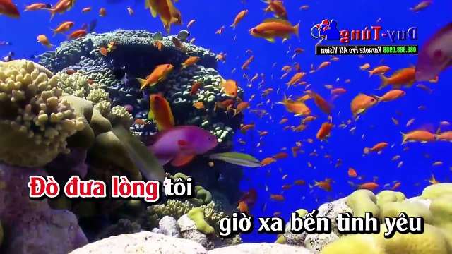 Karaoke - Liên Khúc Nhạc Sống Trữ Tình Cha Cha Cha Tuyển Chọn Đặc Sắc Nhất Vol 3 Hay Nhất 2018