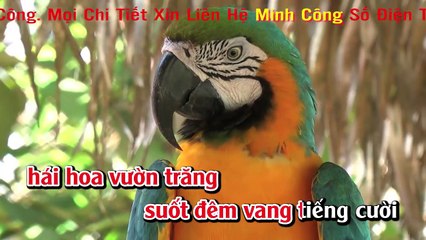 Karaoke - Liên Khúc Nhạc Sống Trữ Tình Cha Cha Cha Vol 4 Tuyển Chọn Đặc Sắc Hay Nhất 2018