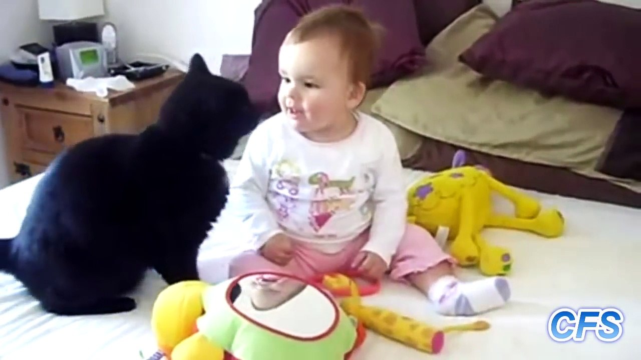 Funny Cats and Babies