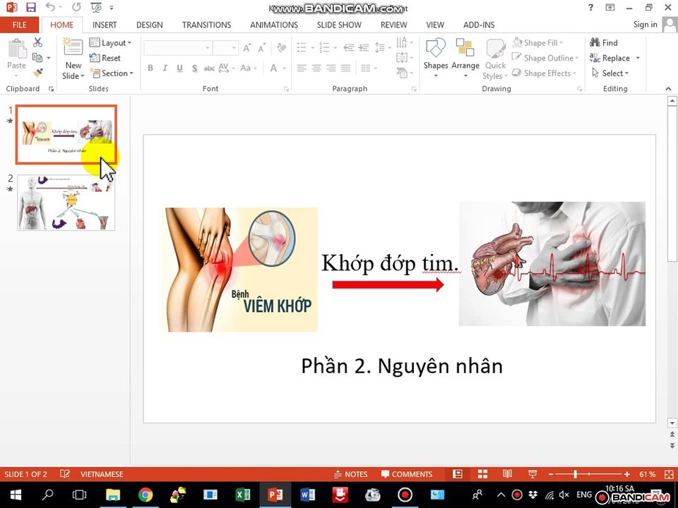 Khớp đớp tim ( Phần 2)