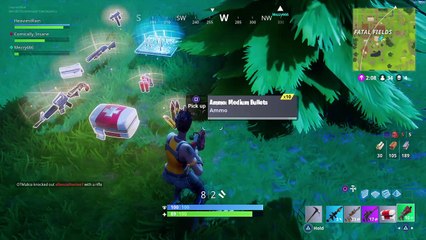 First win on fortnite