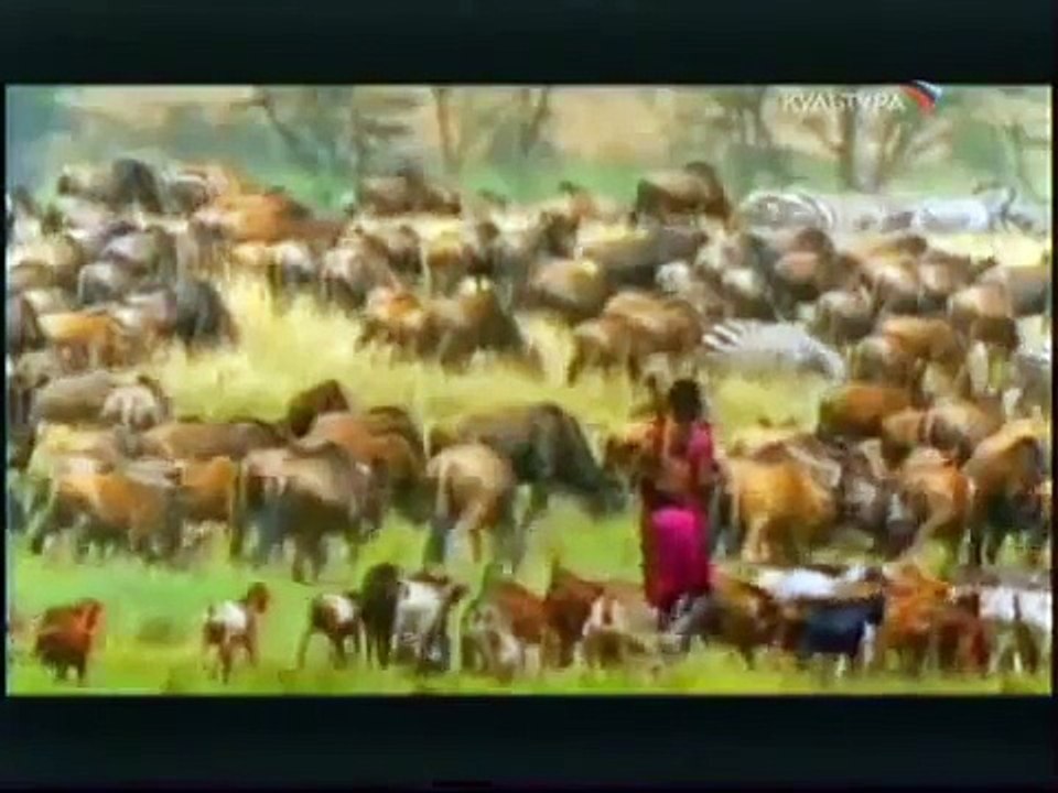 Человечество.Космическая связь.Документальный фильм