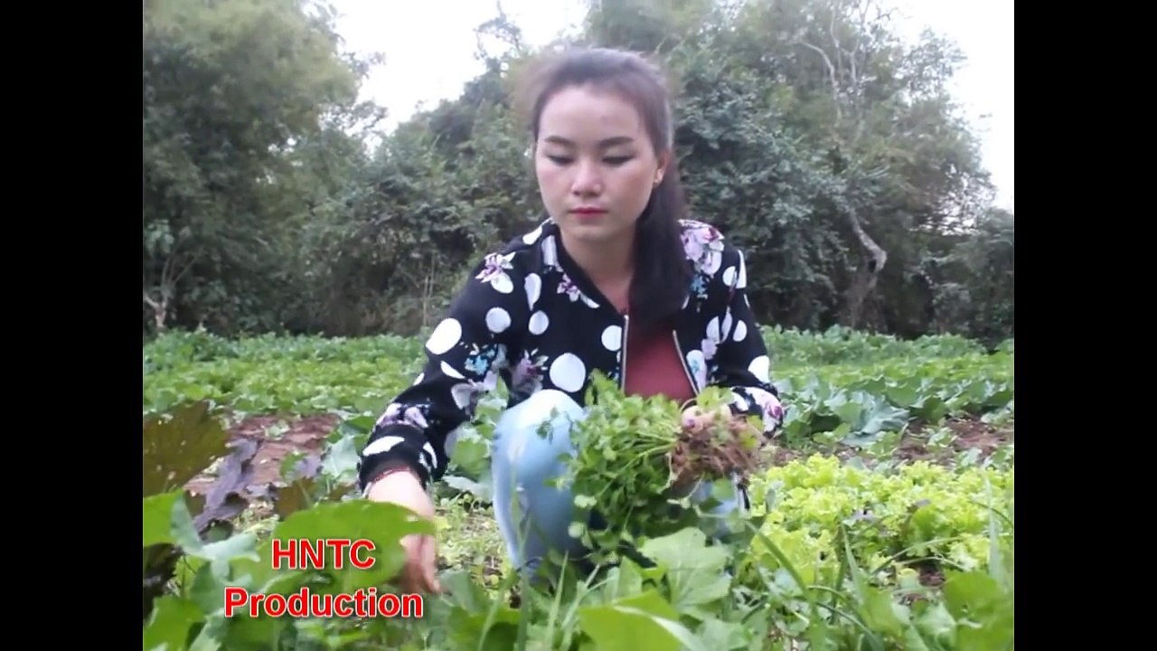 paj neeb yaj hluas nkauj hmoob naj hiab