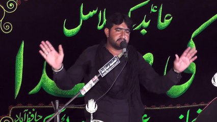 Zakir Fida Hussain Bhuta Sadaat  20th Muharam 1439(2017) Choti Behak Hafizabad