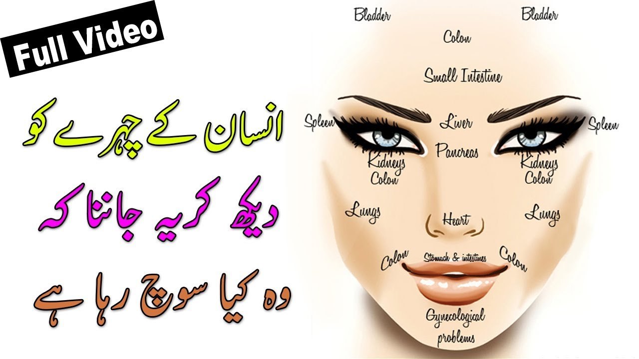 Face Reading || How to Read Face || Face Reading In Urdu-Hindi