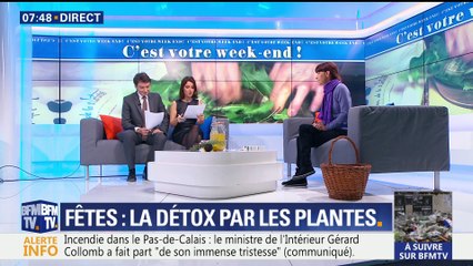 Fêtes : la détox par les plantes