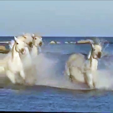 منظر رائع و مدهش سبحان الخالق المصور