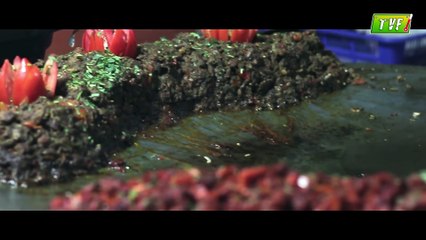 The Food Anthem - Aye Mere Pyare Mutton | TVF CoCan Studio