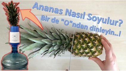 Ananas Nasıl Soyulur? Bir de 'O'ndan Dinleyin..!