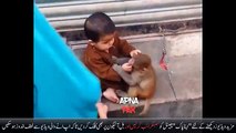 cutest friendship of pakistani kids and animals will surprise you, pakistani street talent