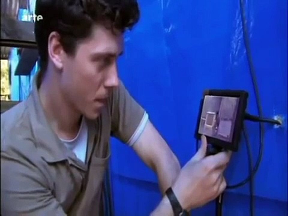 Le Corbeau l'oiseau le plus intelligent !