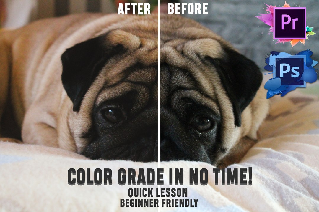 How to color grade your Photos or Videos beginner friendly (Premiere Pro and Photoshop)