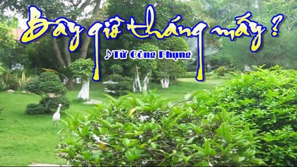 [Karaoke] BÂY GIỜ THÁNG MẤY - Từ Công Phụng (Giọng Nam: G)