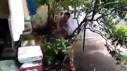 TỘI QUÁ CÁC BẠN Ạ HÃY  ĂN CHAY NHÉ  ĐỂ KHÔNG TẠO THÊM ÁC NGHIỆP NỮA     A DI ĐÀ PHẬT