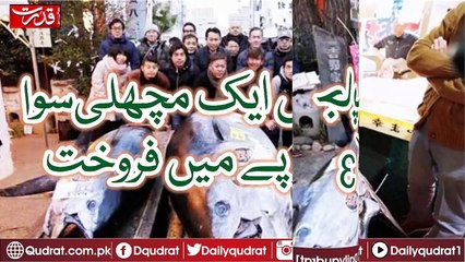 A fish sold in Rs 3 crores in Japan