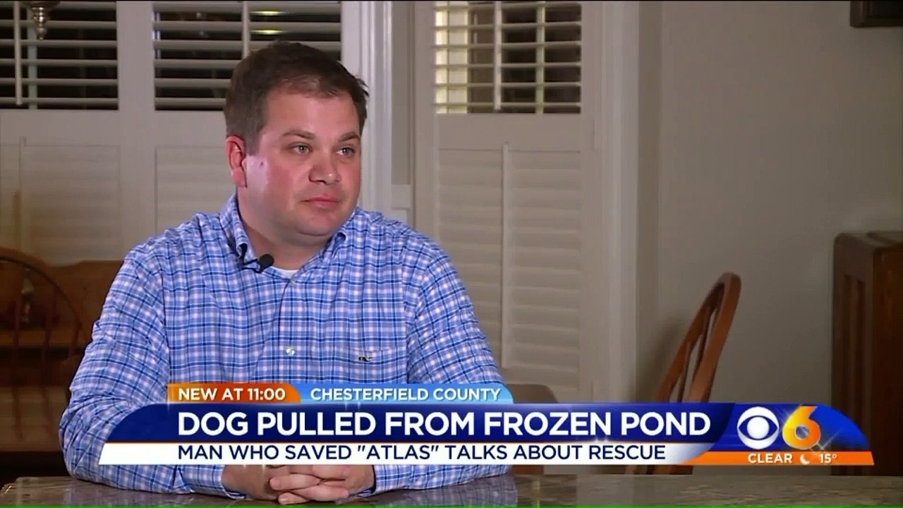 Video Shows Man`s Dramatic Rescue of Dog From I...
