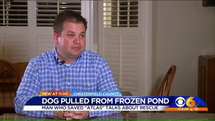 Video Shows Man`s Dramatic Rescue of Dog From Icy Pond