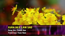 Xuân Đẹp Làm Sao (Karaoke Beat) - Tone Nam