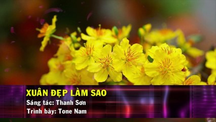 Xuân Đẹp Làm Sao (Karaoke Beat) - Tone Nam