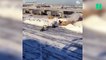 Le tempête de neige aux États-Unis paralyse l'aéroport JFK à New-York et laisse des milliers de personnes sans avion