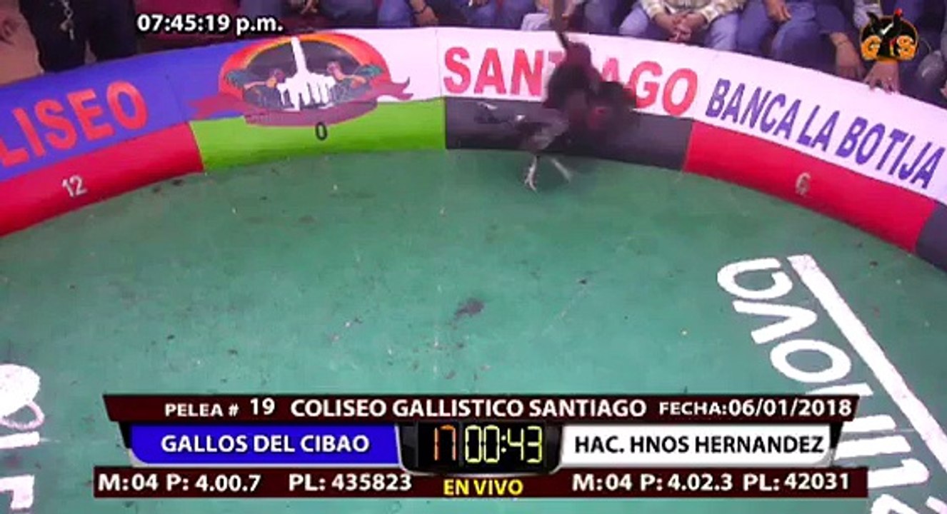 GALLOS DEL CIBAO VS HNOS. HERNANDEZ