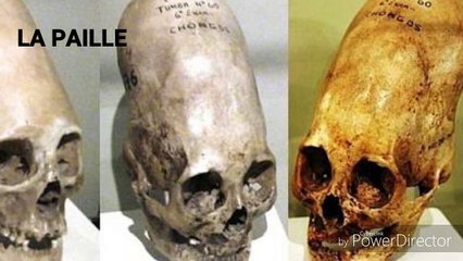 Antarctica महाद्वीप पर मिले 12000  साल पुरानी सभ्यता के  परग्रही सबूत