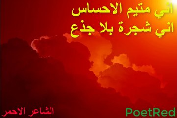 اني متيم الاحساس اني شجرة بلا جذع - شعر