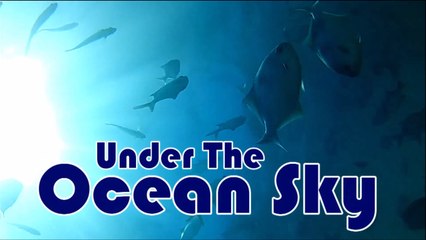 Under the Ocean Sky Port Noarlunga Jetty