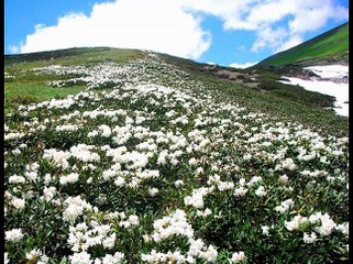 Çaykara Derindere Köyü