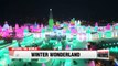 China's Harbin hosts world's largest ice sculpture festival