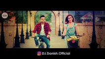 Punjabi Love Mashup 2017 - DJ Danish - Best Punjabi Mashup - Latest Punjabi Song 2017