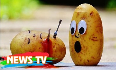 Những loại cây độc nhất thế giới