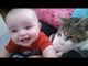 Cats And Babies Funny Video Compilation - Cats With Kids Funny Videos - Cats Video Clips