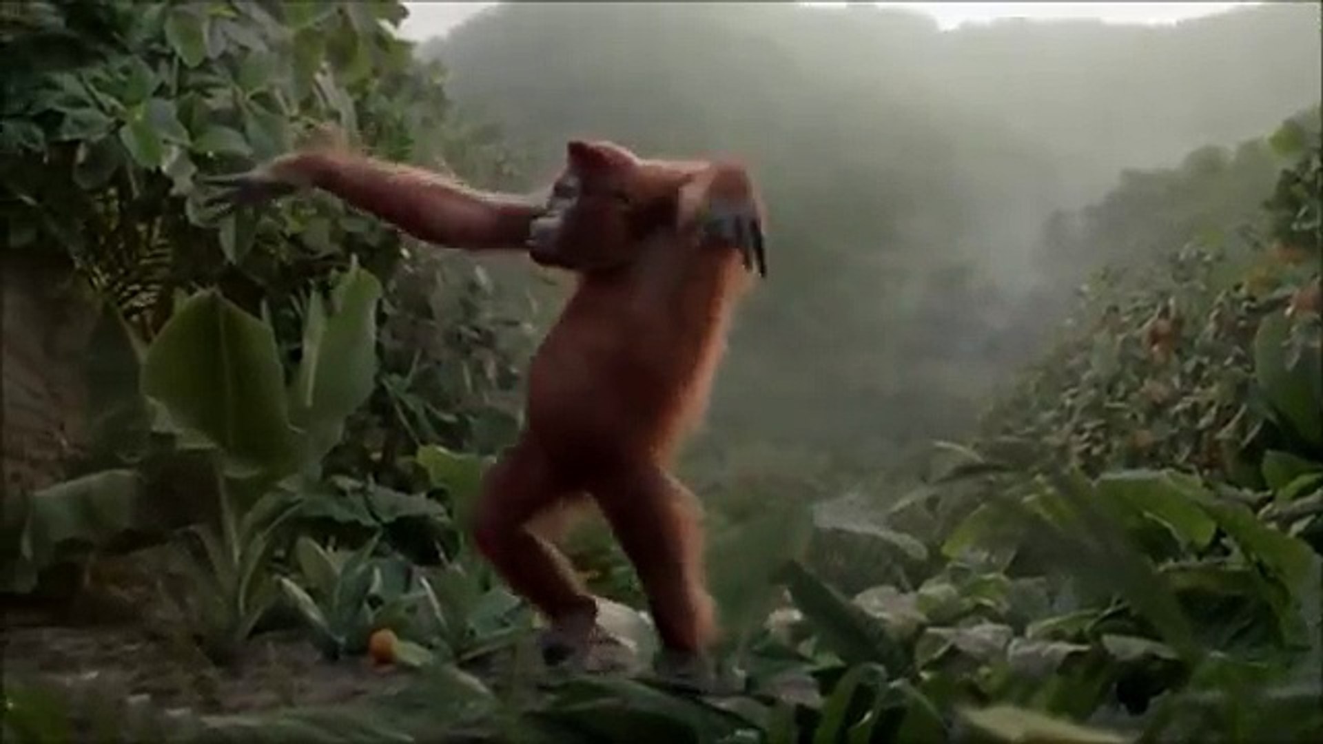 ⁣Monkey dancing turkish happy birthday song