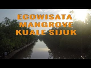 Ecowisata Mangrove Kuale Sijuk