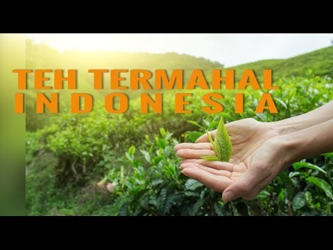Teh Termahal Indonesia