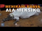 Wali Kota di Meksiko Pilih Nikahi Buaya !
