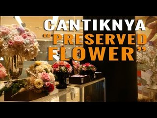 Wow, Bunga Cantik Ini Awet Hingga Tahunan!